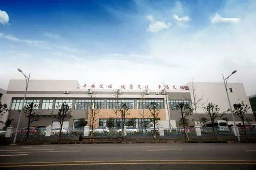 大數據驅動智慧升級，重慶高新區信息咨詢服務企業引領智造新篇章